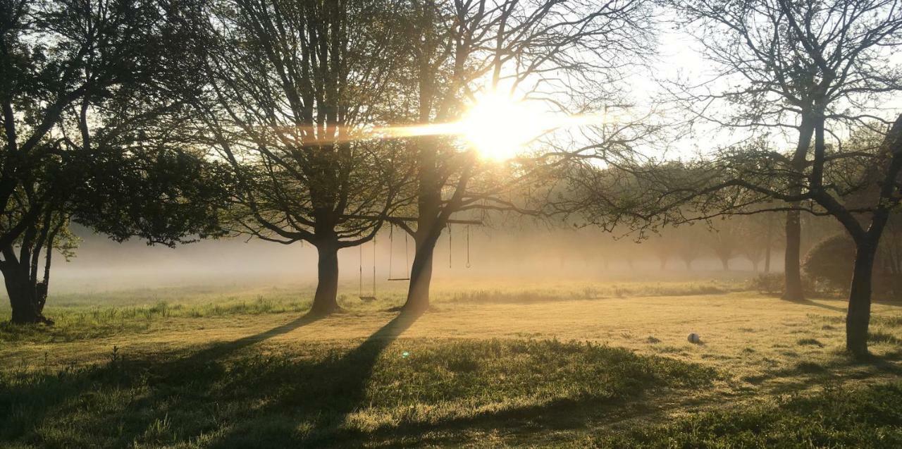 Het Zwaantje Villa Londerzeel Kültér fotó